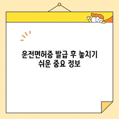 운전면허증 발급 후 꼭 알아야 할 7가지 주의 사항 | 운전면허, 신규 운전자, 안전 운전, 필수 정보