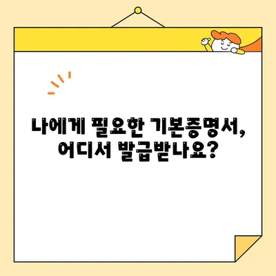 기본증명서 인터넷 발급 완벽 가이드| 기본/상세/특정 증명서 발급 방법 | 온라인 발급, 증명서 종류, 발급 기관, 필요 서류