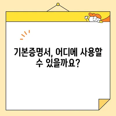 인터넷으로 기본증명서 발급받기| 일반/상세/특정 차이점 완벽 정리 | 온라인 발급, 종류별 비교, 발급 방법