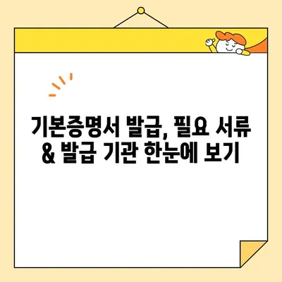 기본증명서 인터넷 발급| 일반, 상세, 특정 구분 완벽 정리 | 종류별 발급 방법, 필요 서류, 발급 기관 상세 가이드