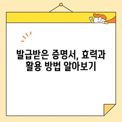 주택 소유권 증명서 인터넷 발급 완벽 가이드| 단계별 설명과 주의 사항 | 부동산, 등기, 민원, 온라인 발급