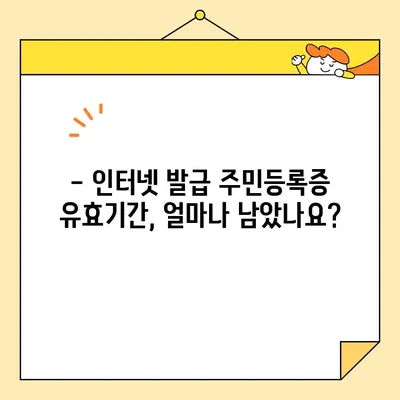 인터넷 발급 주민등록증, 유효기간 지나면? 꼭 알아야 할 정보 | 재발급, 기간 연장, 주의 사항