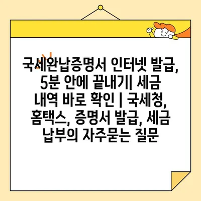 국세완납증명서 인터넷 발급, 5분 안에 끝내기| 세금 내역 바로 확인 | 국세청, 홈택스, 증명서 발급, 세금 납부