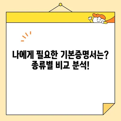 기본증명서 인터넷 발급, 일반/상세/특정 차이점 완벽 정리 | 온라인 발급, 종류별 비교, 발급 방법