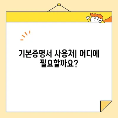 기본증명서 인터넷 발급| 일반, 상세, 특정, 어떤 차이일까요? | 종류별 비교, 발급 방법, 필요 서류