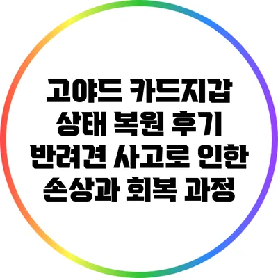 고야드 카드지갑 상태 복원 후기: 반려견 사고로 인한 손상과 회복 과정