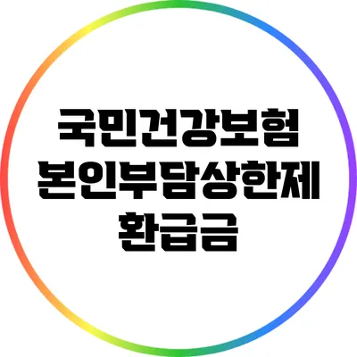 국민건강보험 본인부담상한제 환급금