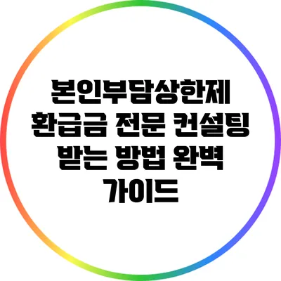 본인부담상한제 환급금 전문 컨설팅 받는 방법 완벽 가이드