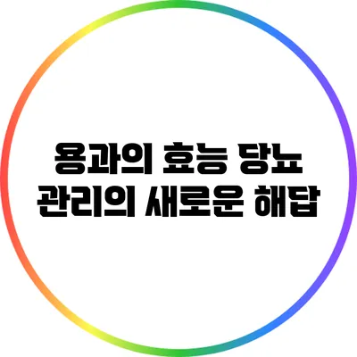 용과의 효능: 당뇨 관리의 새로운 해답