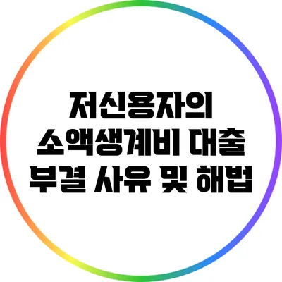 저신용자의 소액생계비 대출 부결 사유 및 해법