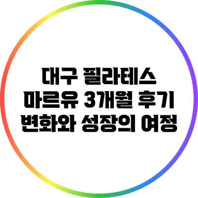 대구 필라테스 마르유 3개월 후기: 변화와 성장의 여정