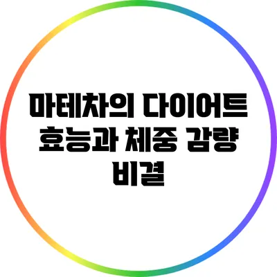 마테차의 다이어트 효능과 체중 감량 비결