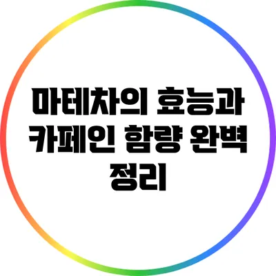 마테차의 효능과 카페인 함량 완벽 정리