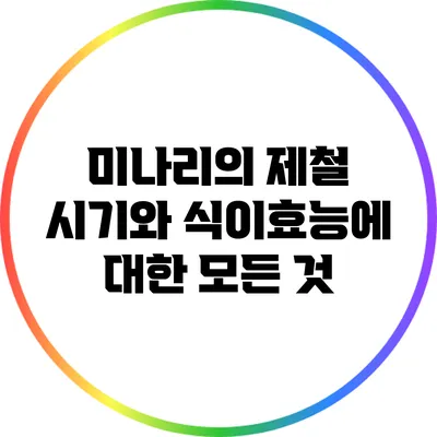 미나리의 제철 시기와 식이효능에 대한 모든 것