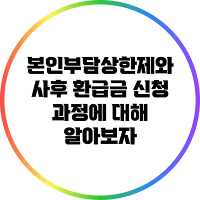 본인부담상한제와 사후 환급금 신청 과정에 대해 알아보자