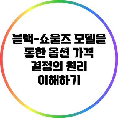 블랙-쇼울즈 모델을 통한 옵션 가격 결정의 원리 이해하기