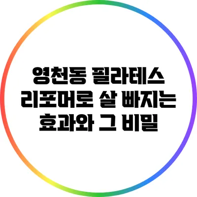 영천동 필라테스 리포머로 살 빠지는 효과와 그 비밀