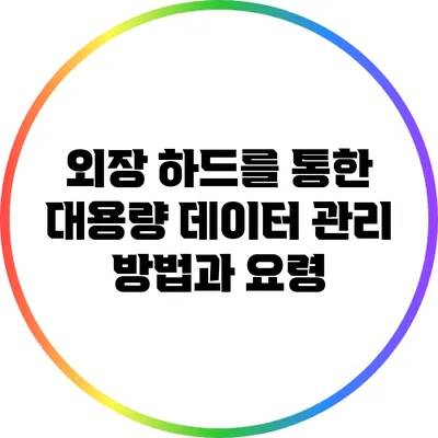 외장 하드를 통한 대용량 데이터 관리 방법과 요령