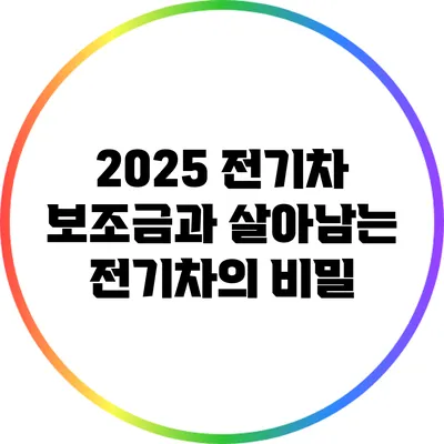 2025 전기차 보조금과 살아남는 전기차의 비밀