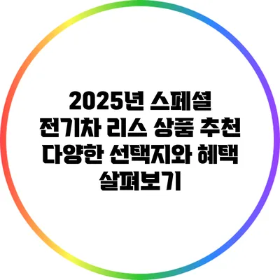 2025년 스페셜 전기차 리스 상품 추천: 다양한 선택지와 혜택 살펴보기