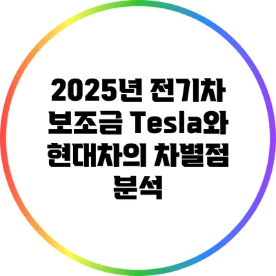 2025년 전기차 보조금: Tesla와 현대차의 차별점 분석