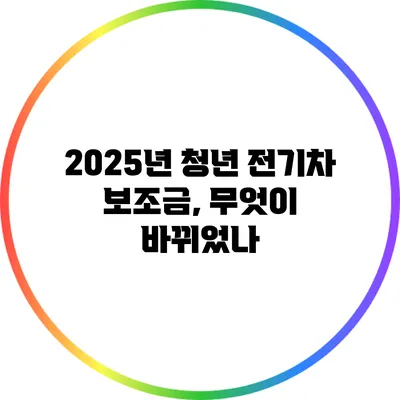 2025년 청년 전기차 보조금, 무엇이 바뀌었나?