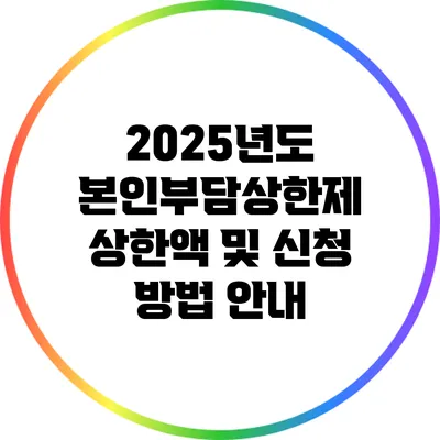 2025년도 본인부담상한제: 상한액 및 신청 방법 안내