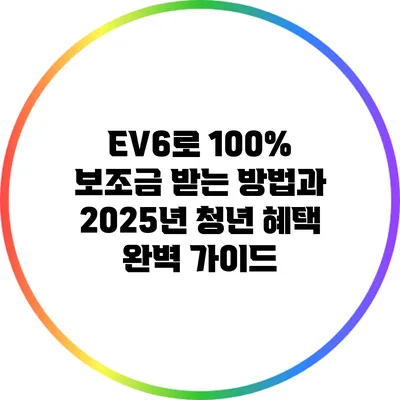 EV6로 100% 보조금 받는 방법과 2025년 청년 혜택 완벽 가이드