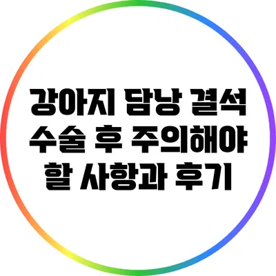 강아지 담낭 결석 수술 후 주의해야 할 사항과 후기