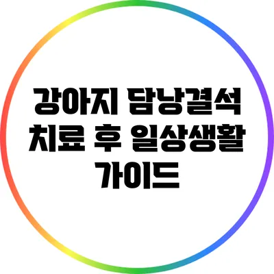 강아지 담낭결석 치료 후 일상생활 가이드