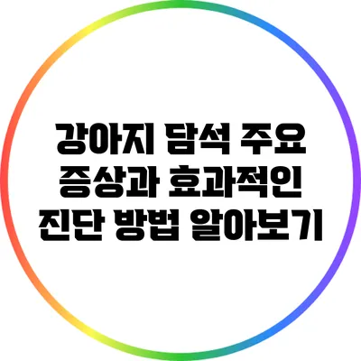 강아지 담석: 주요 증상과 효과적인 진단 방법 알아보기