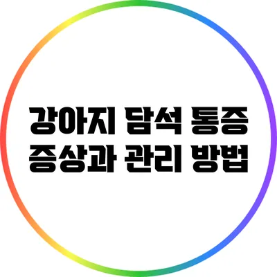 강아지 담석 통증 증상과 관리 방법