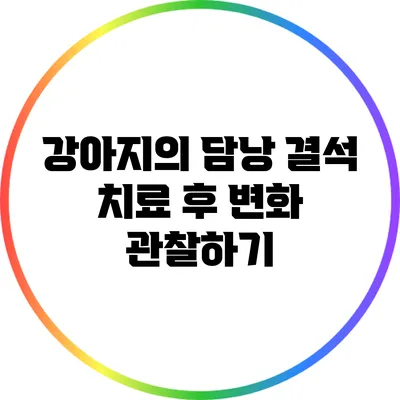 강아지의 담낭 결석 치료 후 변화 관찰하기