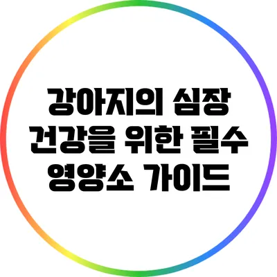 강아지의 심장 건강을 위한 필수 영양소 가이드
