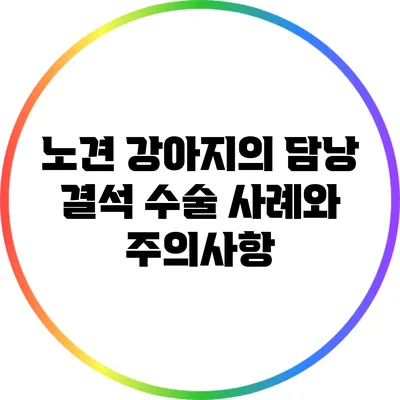 노견 강아지의 담낭 결석 수술 사례와 주의사항