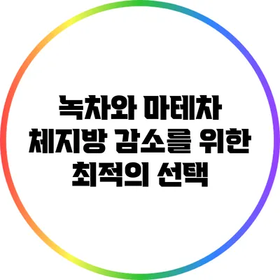 녹차와 마테차: 체지방 감소를 위한 최적의 선택
