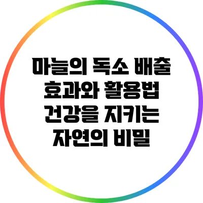 마늘의 독소 배출 효과와 활용법: 건강을 지키는 자연의 비밀