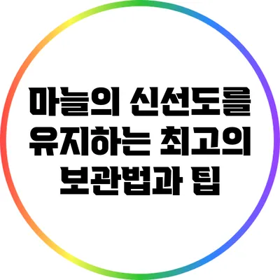 마늘의 신선도를 유지하는 최고의 보관법과 팁
