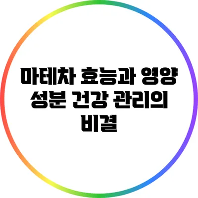 마테차 효능과 영양 성분: 건강 관리의 비결