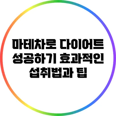 마테차로 다이어트 성공하기: 효과적인 섭취법과 팁