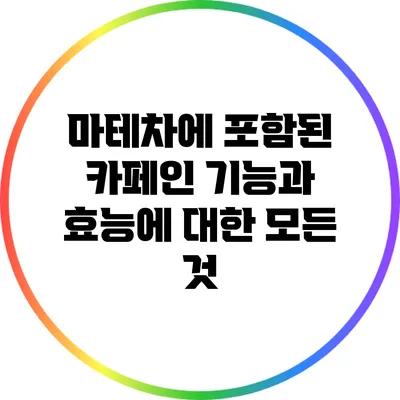 마테차에 포함된 카페인: 기능과 효능에 대한 모든 것