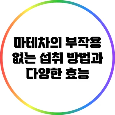 마테차의 부작용 없는 섭취 방법과 다양한 효능