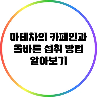 마테차의 카페인과 올바른 섭취 방법 알아보기