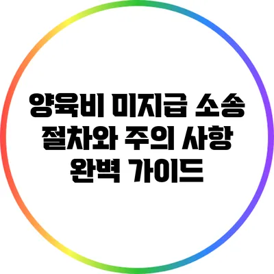 양육비 미지급 소송 절차와 주의 사항 완벽 가이드