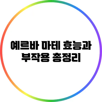 예르바 마테: 효능과 부작용 총정리