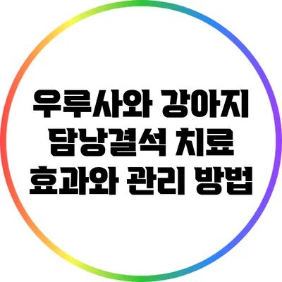 우루사와 강아지 담낭결석 치료: 효과와 관리 방법