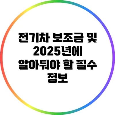 전기차 보조금 및 2025년에 알아둬야 할 필수 정보