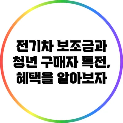 전기차 보조금과 청년 구매자 특전, 혜택을 알아보자