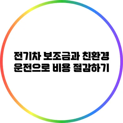 전기차 보조금과 친환경 운전으로 비용 절감하기