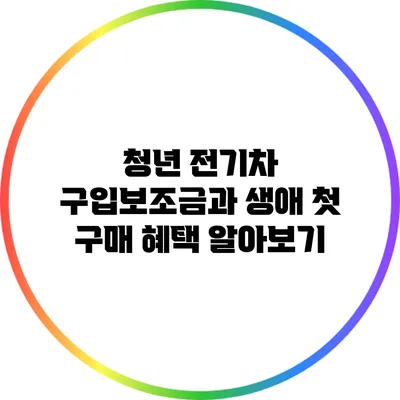 청년 전기차 구입보조금과 생애 첫 구매 혜택 알아보기